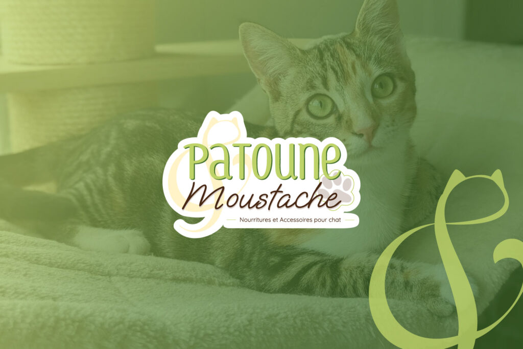 Mise en avant du logotype Patoune & Moustache